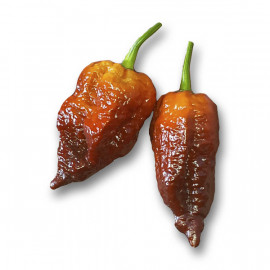 Bhut Jolokia Caramel